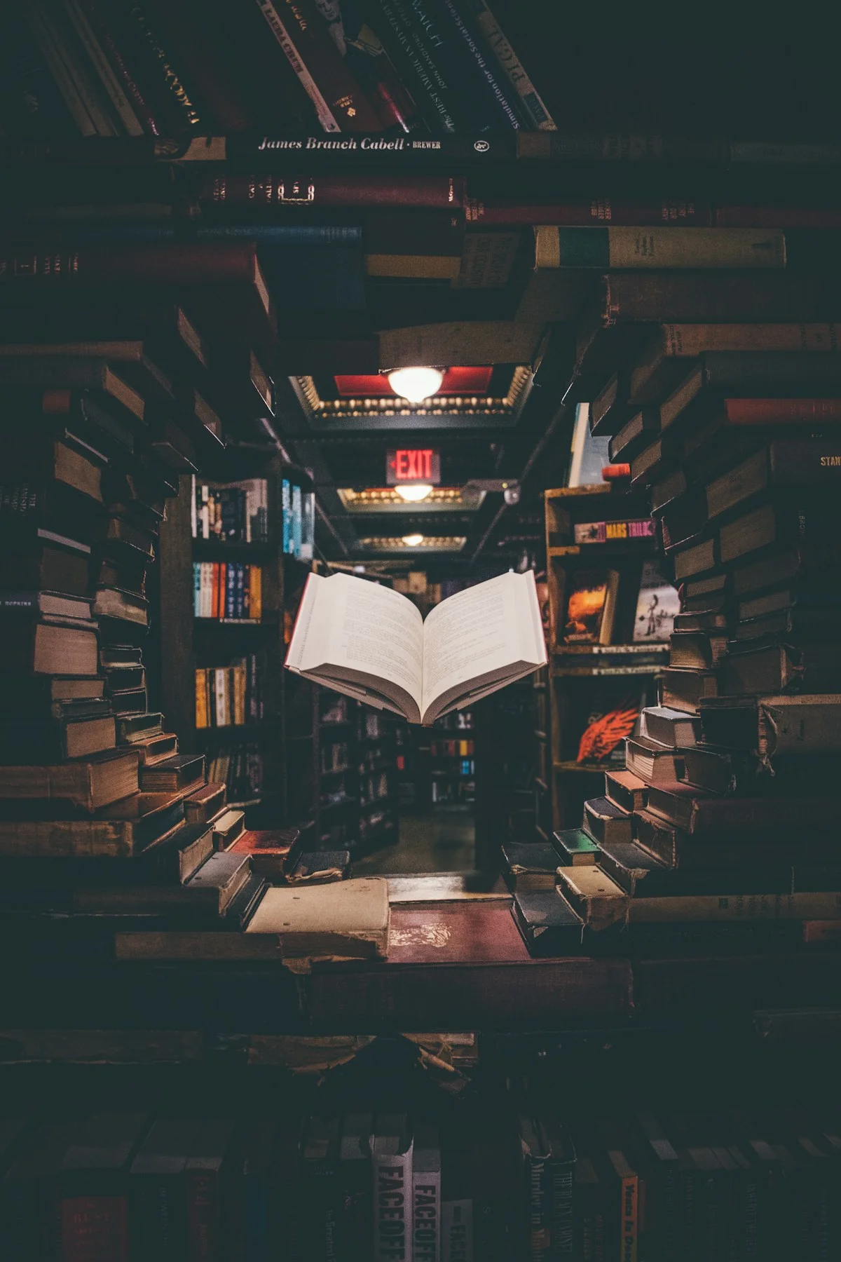 Student using Elicit and Semantic Scholar AI tools for academic literature review and citation management — best AI research