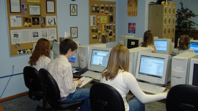 Students working on a class assignment in a computer lab