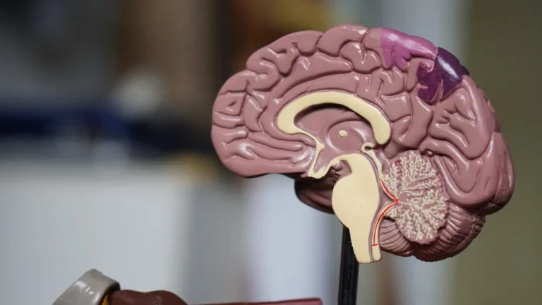 Doctor reviewing AI diagnostic imaging and clinical documentation tools on medical workstation 2026